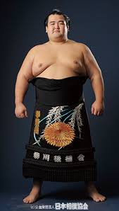 sumo