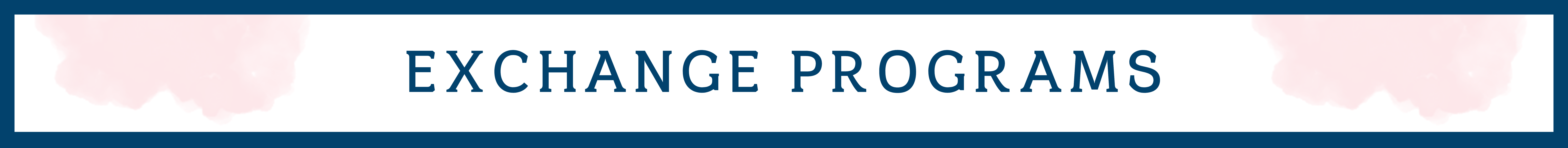 exchange programs